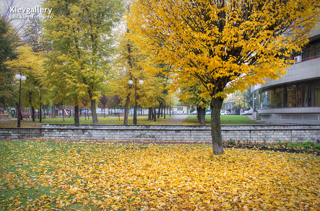 Осень на Севастопольской площади 