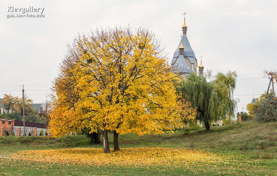 Осень у Киевского моря