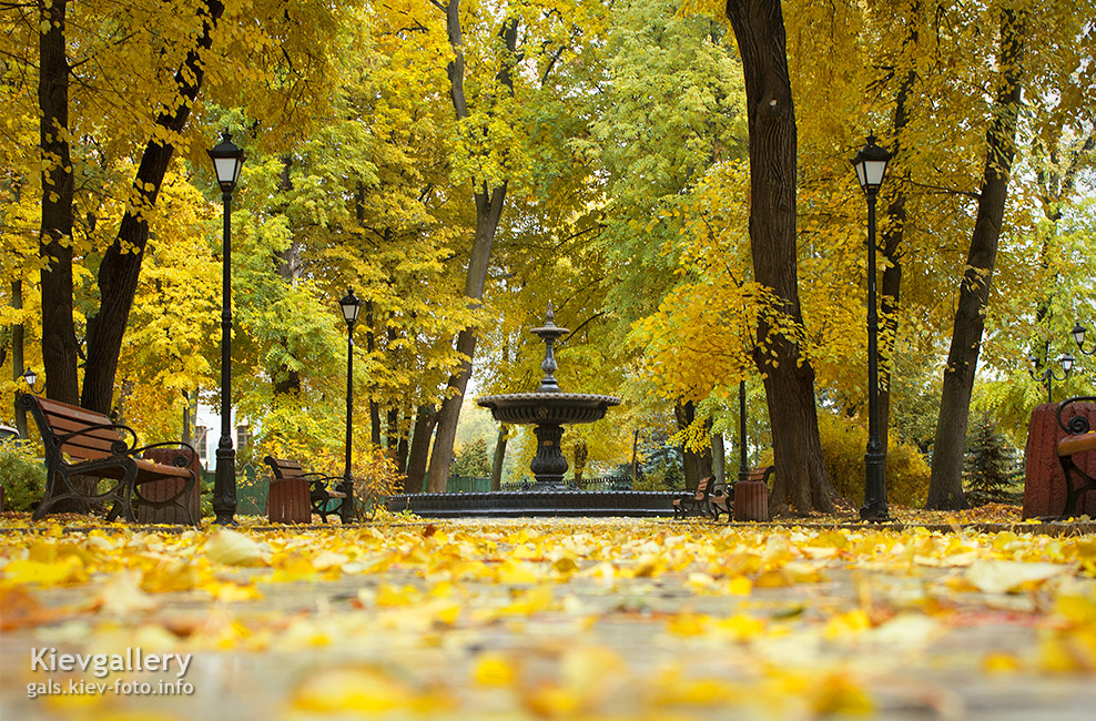 Осенний городской сад - Autumn City garden